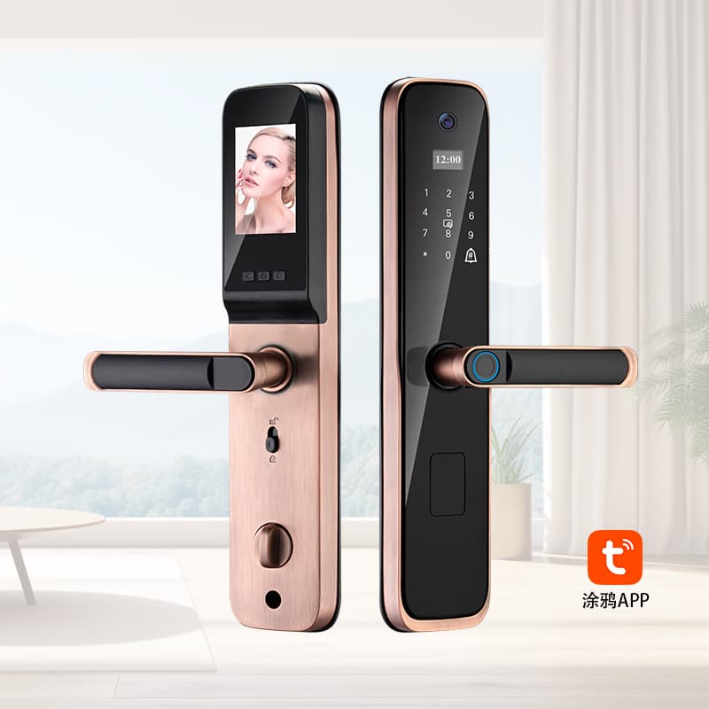 P8S Video Intercom Lock